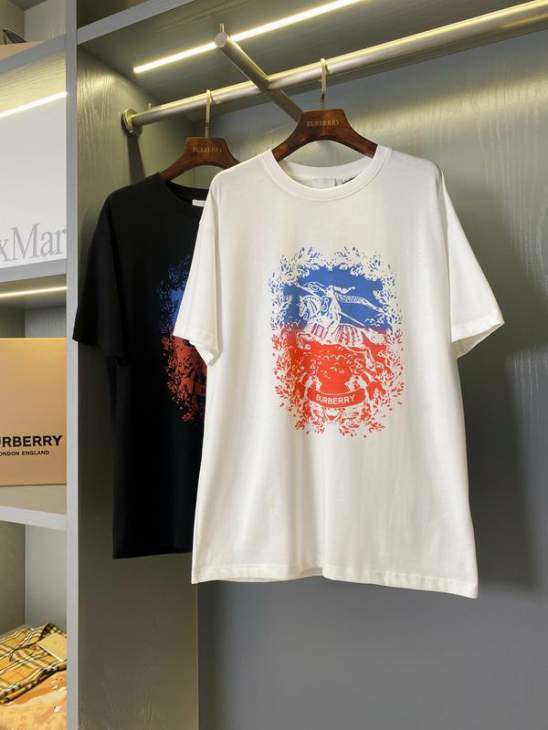 Picture of Burberry T Shirts Short _SKUBurberryS-2XLaztx977019861